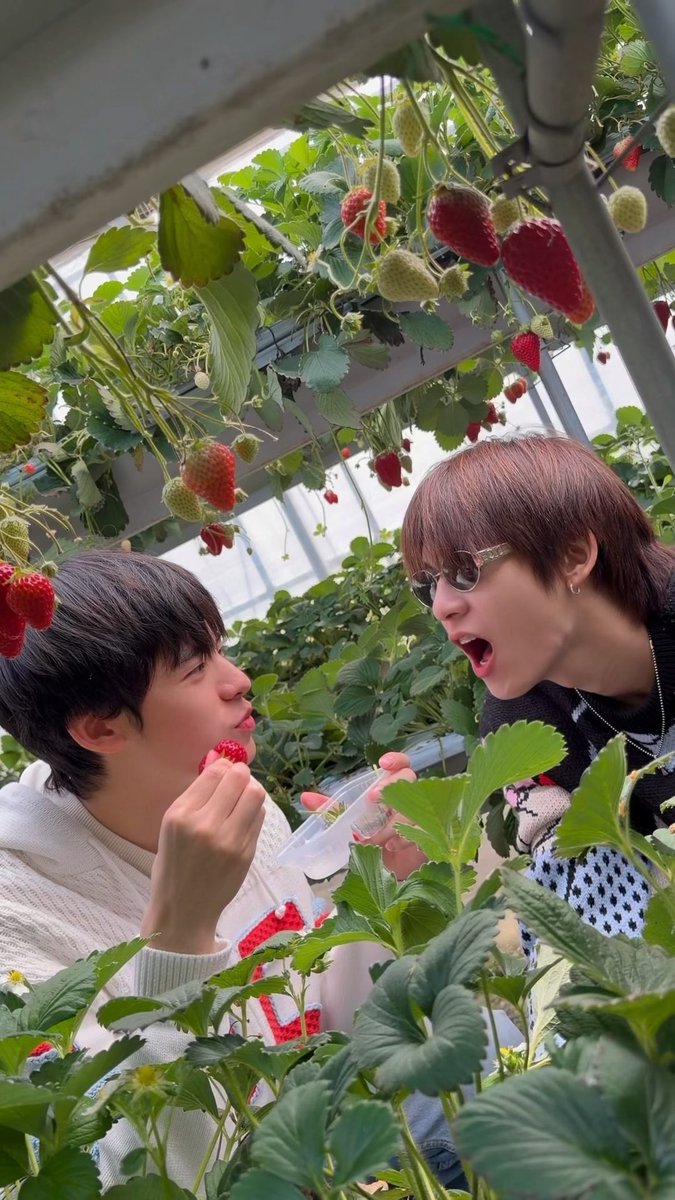 pai_minigirl's tweet photo. ยังขาดอีกนิดหน่อย มาแลกกันงับ

 #แลกฟอลรอตี๋ตี๋ป๋อ
#แลกฟอลรอด้วงกับเธอ https://t.co/KMbEm7xoEL