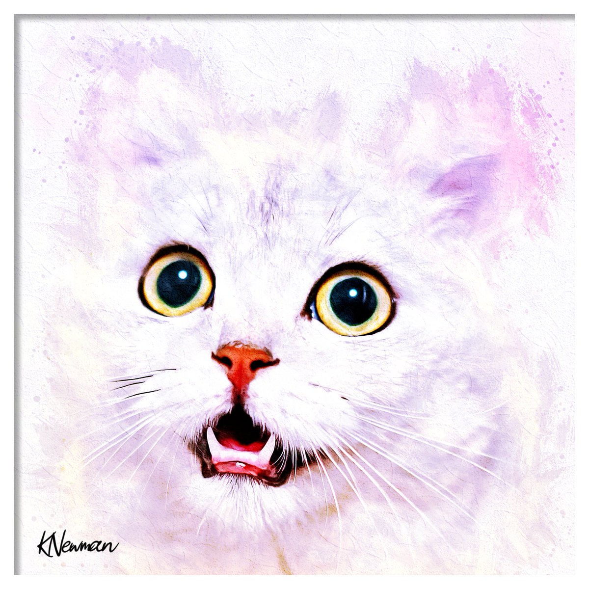 Kenneth Newman tweet media