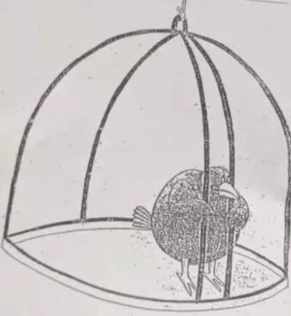 Route 2 FI tweet media