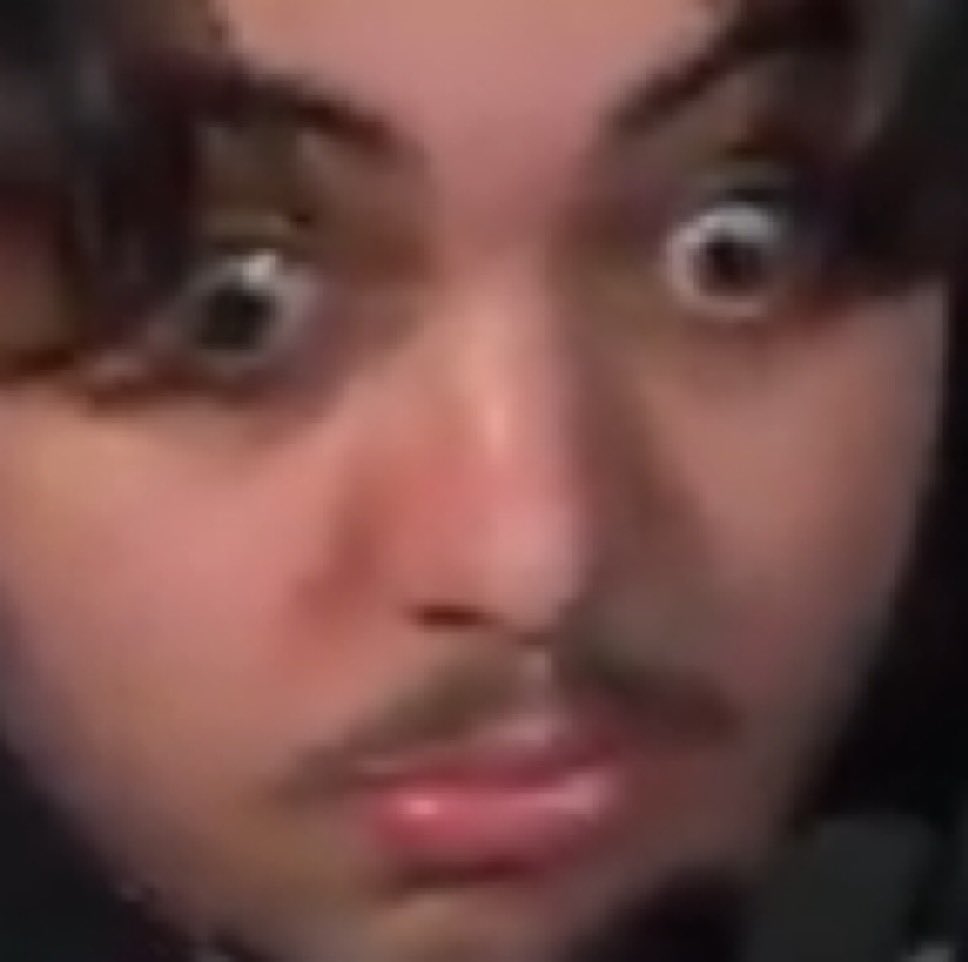 🦤 🇷🇪 tweet media