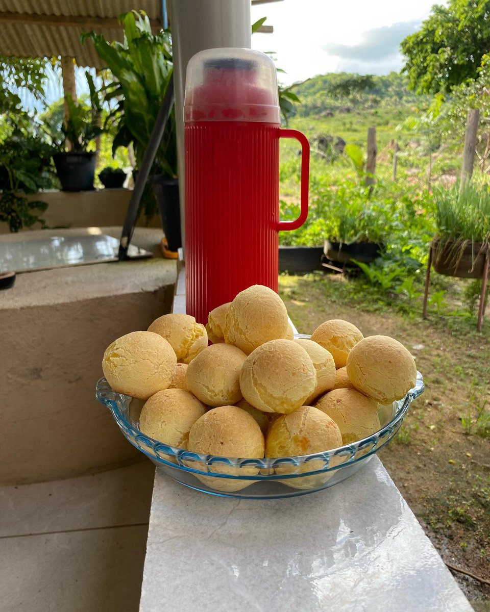 Viviane Fernandes ཐི༏ཋྀ tweet media