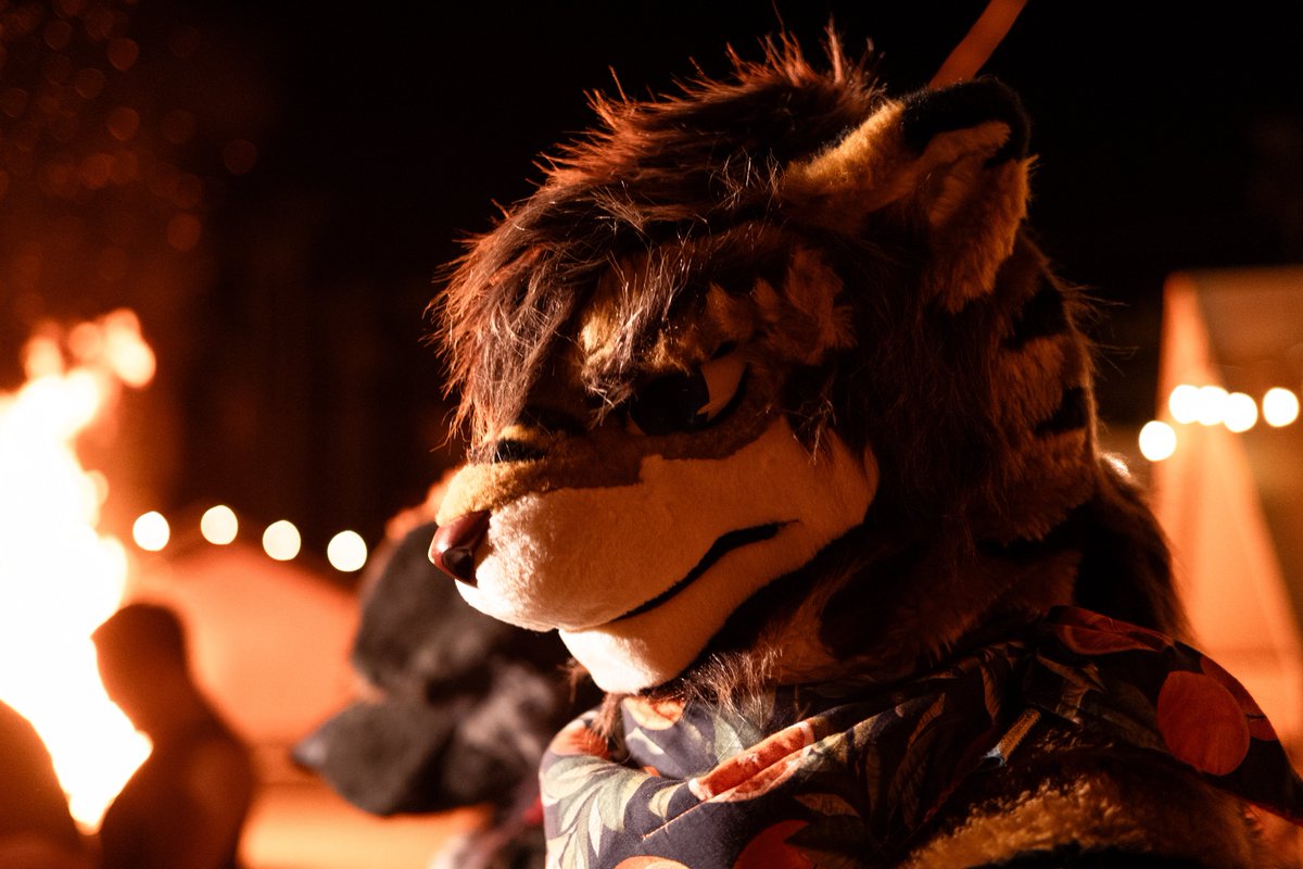 Vincent 🔜 UTFG tweet media