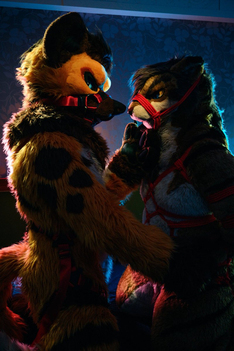 Vincent 🔜 UTFG tweet media