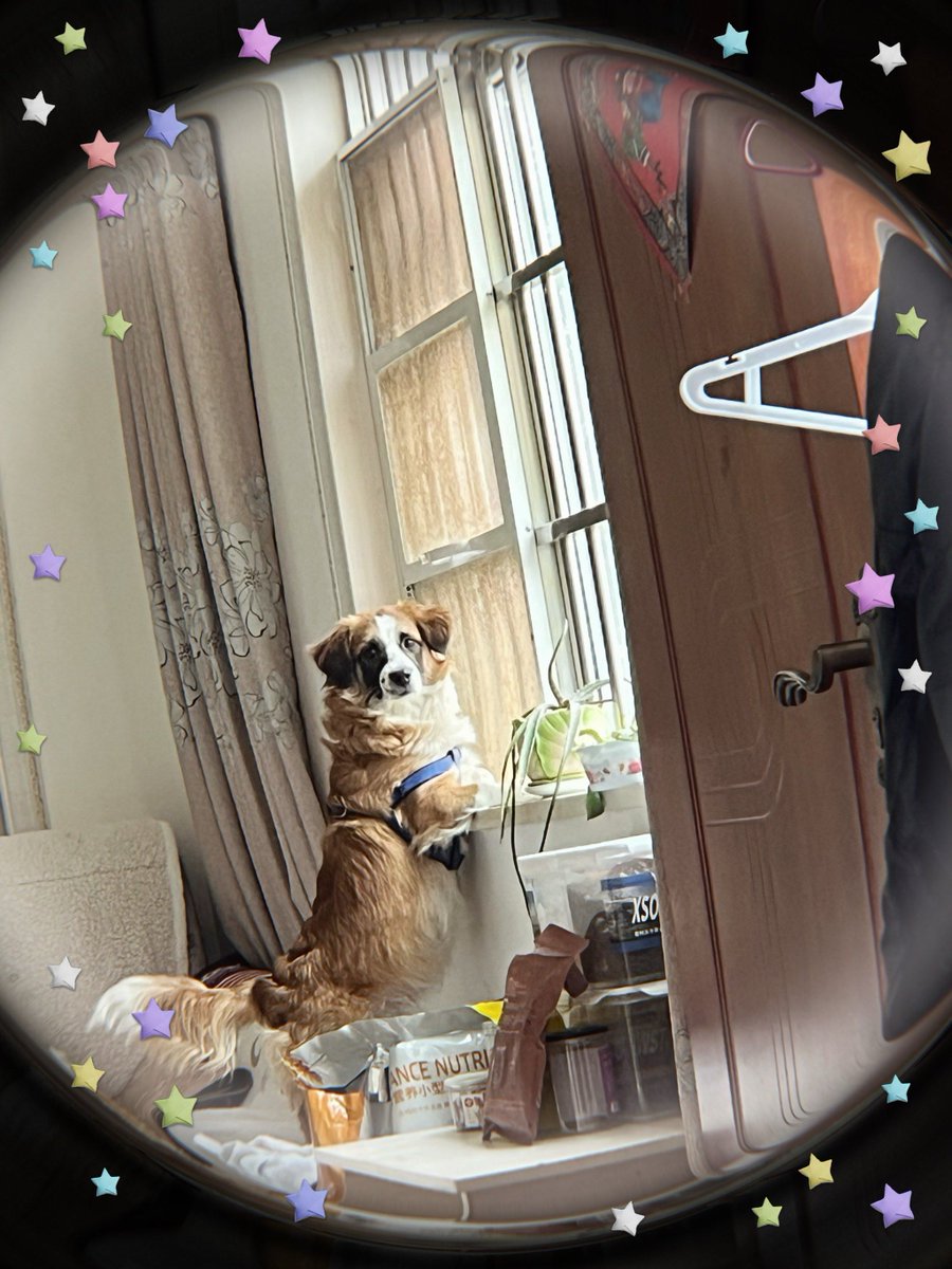 wea inagaki tweet media