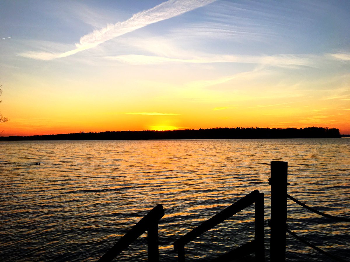 James Wilson tweet media