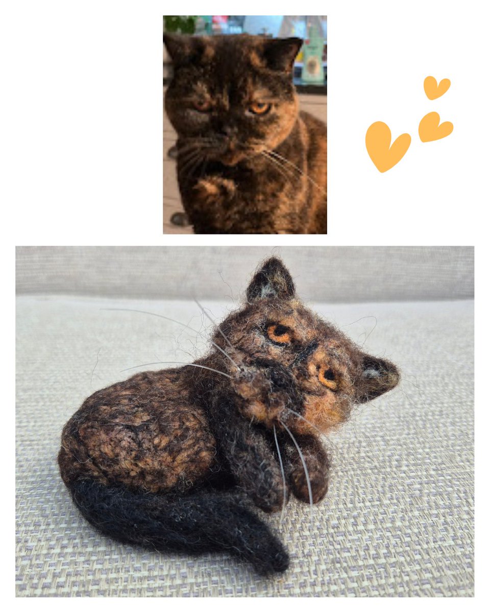 The Rocking Felter tweet media