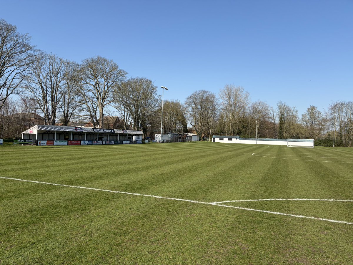 Shaun Soloman 💙 tweet media