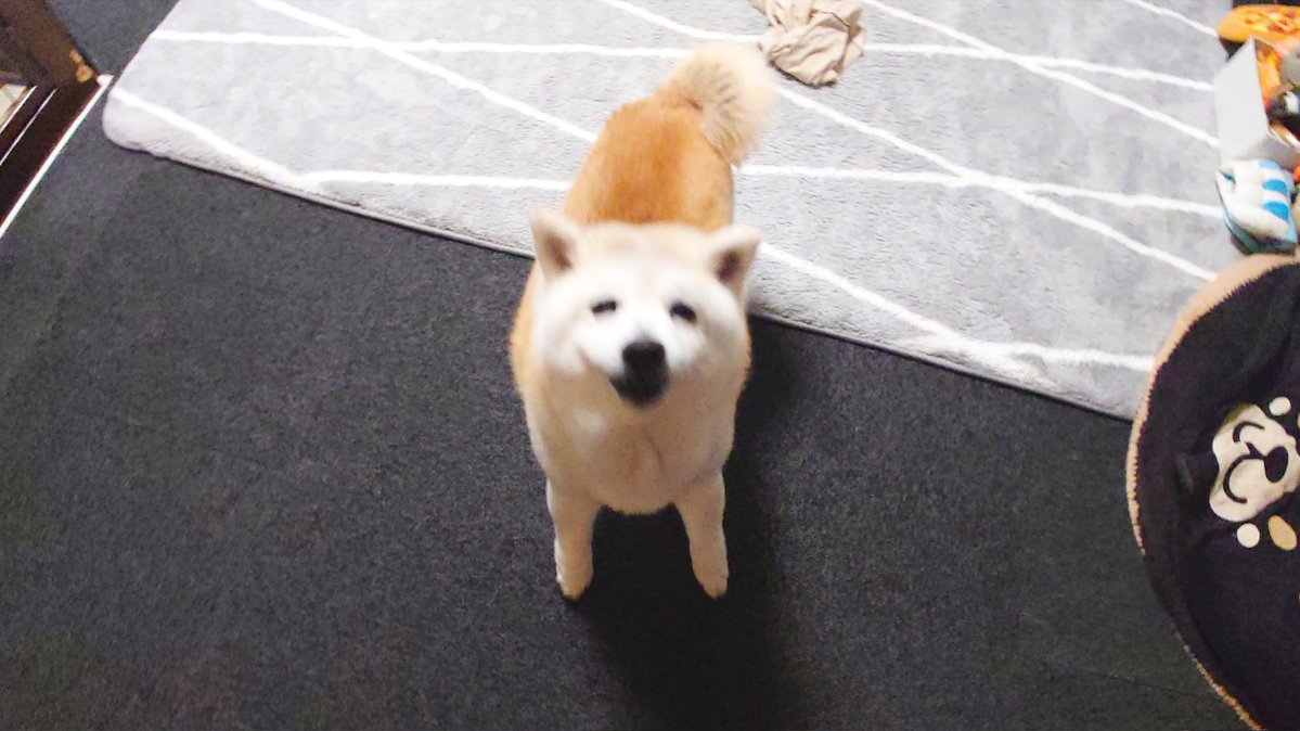 くーさんママ tweet media