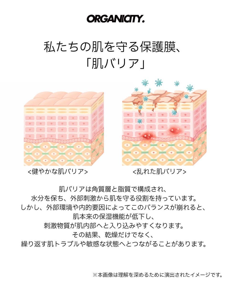 Organicity_jp's tweet photo. 最近、肌がなんだか乾燥しやすかったり、
トラブルが続くな…って感じることありませんか？💭

トラブル対策で、
ピーリングや角質ケアをこまめにしている方も多い気がします。

もちろん角質が溜まると
肌トラブルの原因になることもあるんですが、

その前に一度、
「肌バリア」のことも考えてみてほしいです🫧

肌バリアは角質層と脂質でできていて、
セラミドやコレステロール、脂肪酸などが
水分を守ったり、外部刺激から肌を守ってくれています。

ただ、ピーリングをやりすぎたり、
刺激が重なると
このバリアが乱れてしまうことも…🥲

その結果、
かえって乾燥しやすくなったり、
トラブルが繰り返しやすくなることもあります。

なので、ピーリングはやりすぎず
週1回くらいを目安に。

それよりも、
肌バリアをやさしく整えてあげることの方が
大切だと思います🌿
#organicity #オーガニシティ #肌バリア #バリアケア