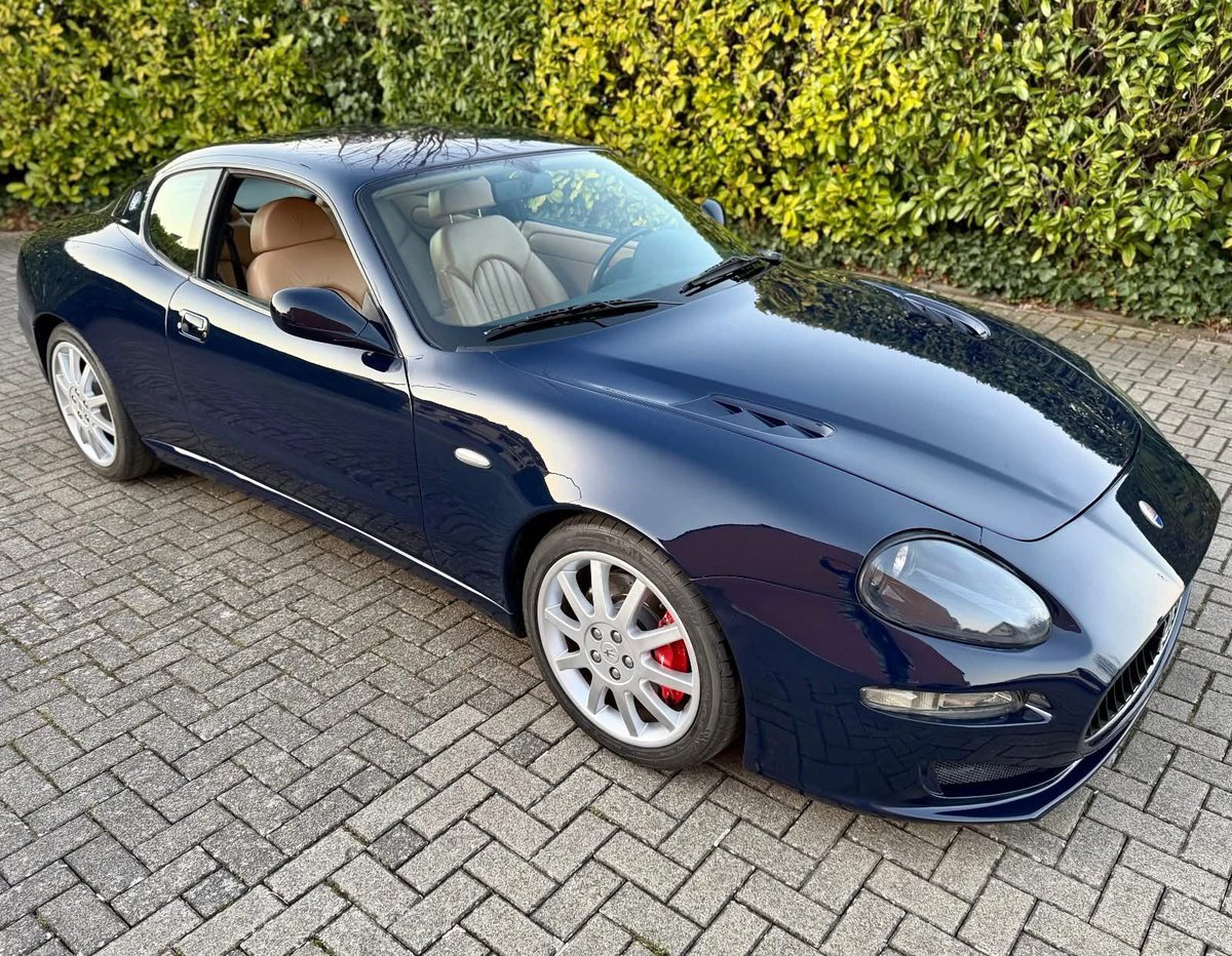 Italpassion tweet media