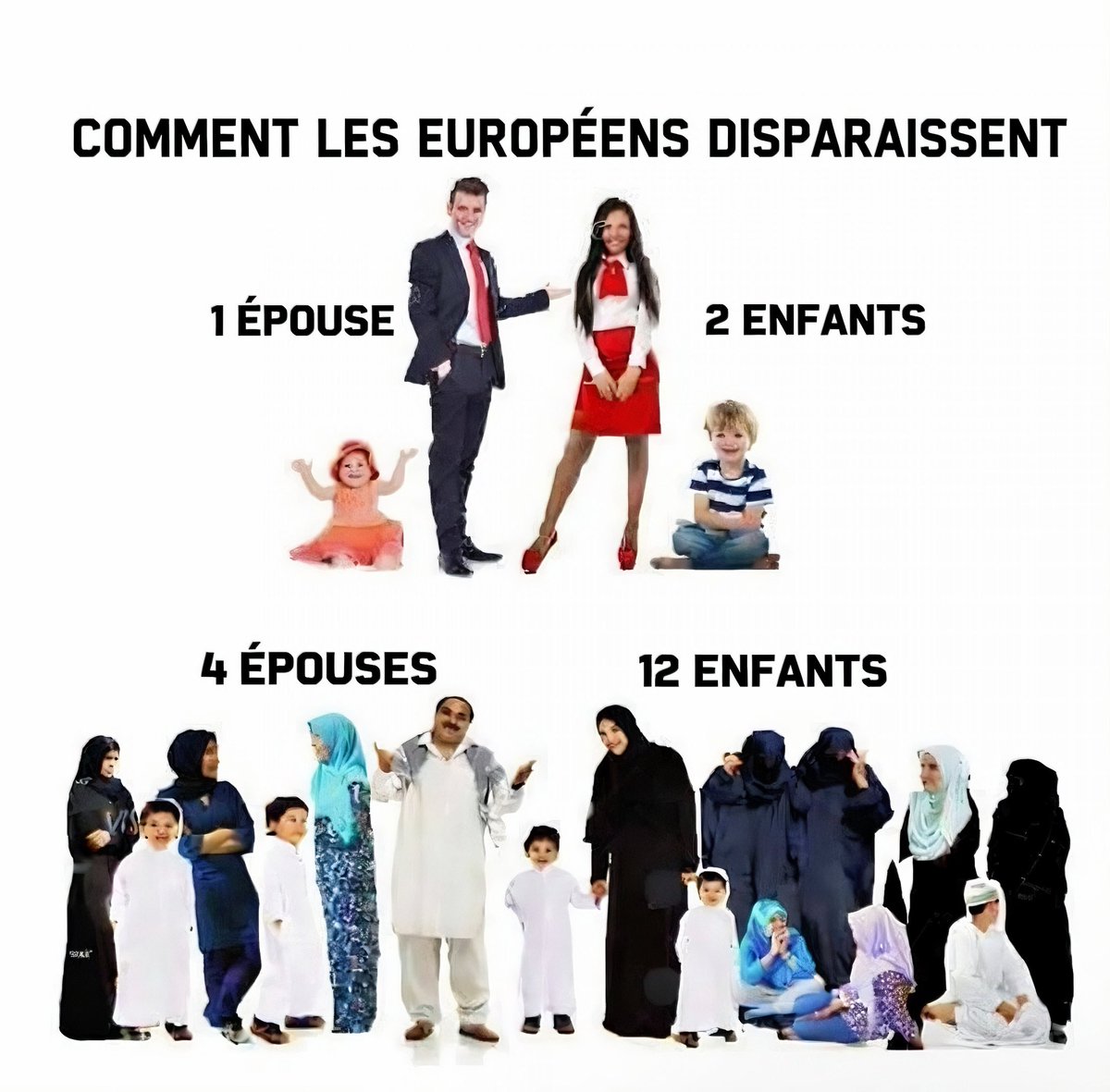 Vivi-Apostat tweet media