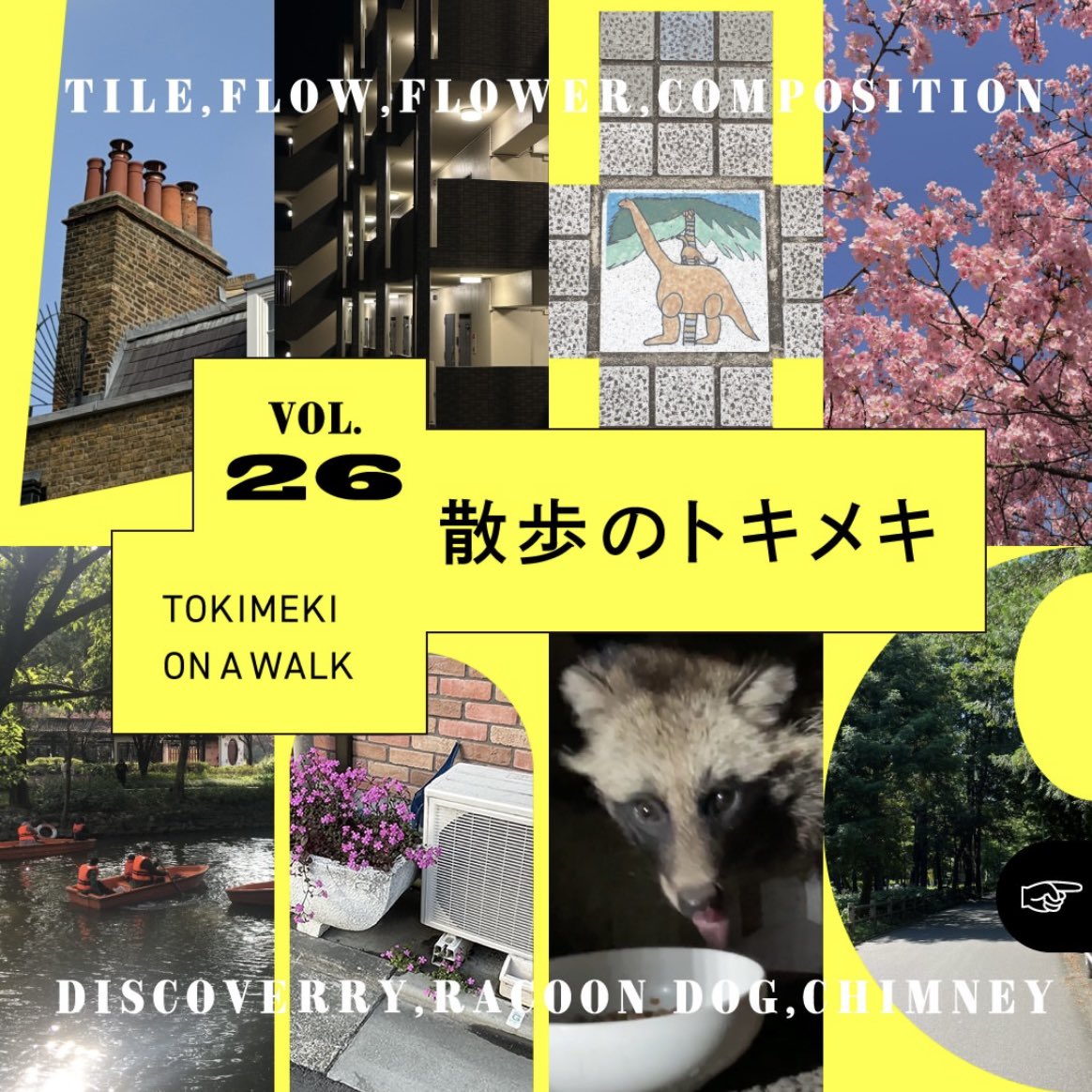 津村根央(ツムラネオ) tweet media