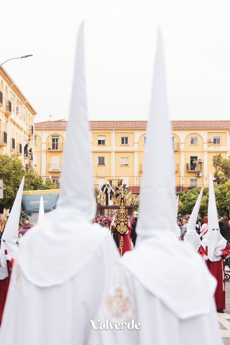 Verdad y Sagrario - Carranque tweet media