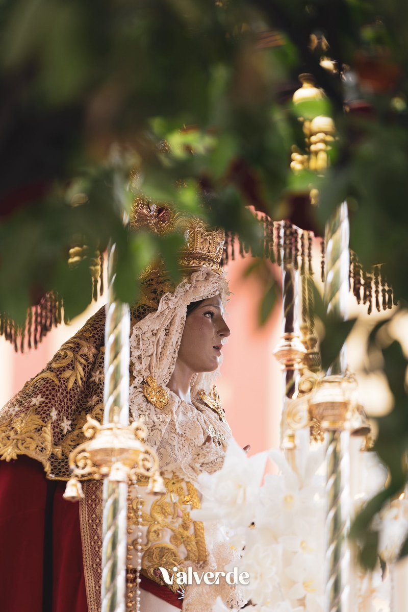 Verdad y Sagrario - Carranque tweet media