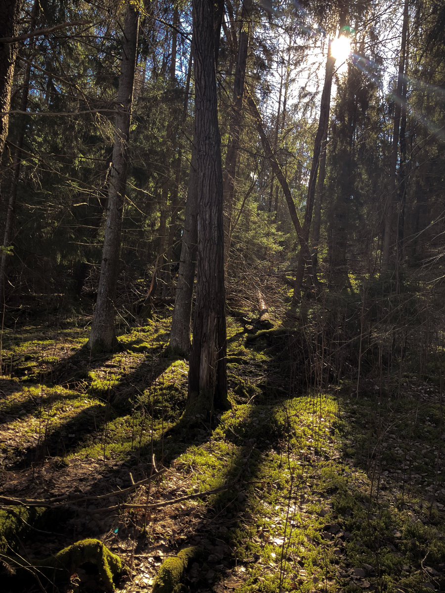 𝓷𝓯𝓽𝓵𝓲𝓼𝓪.𝓮𝓽𝓱 ⋆ tweet media