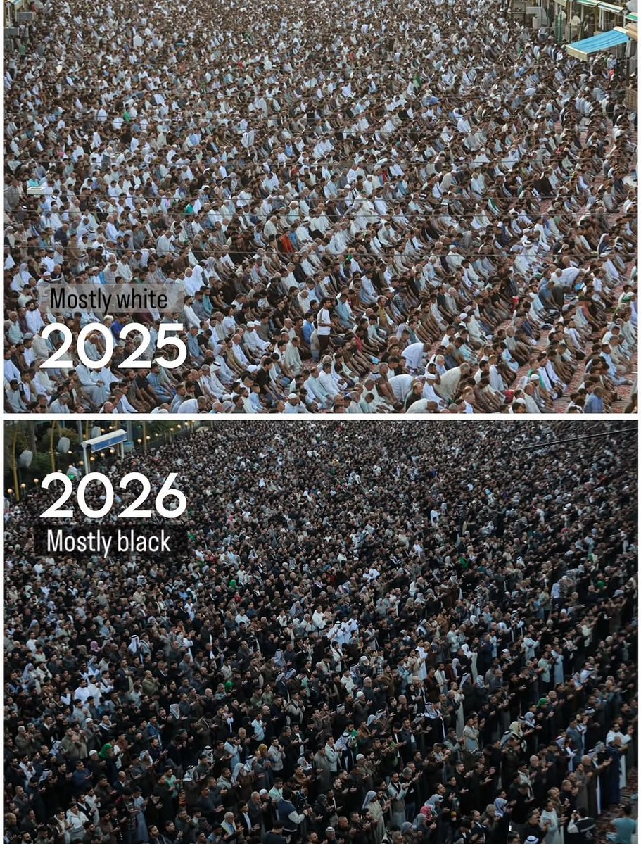 Shia Visuals tweet media