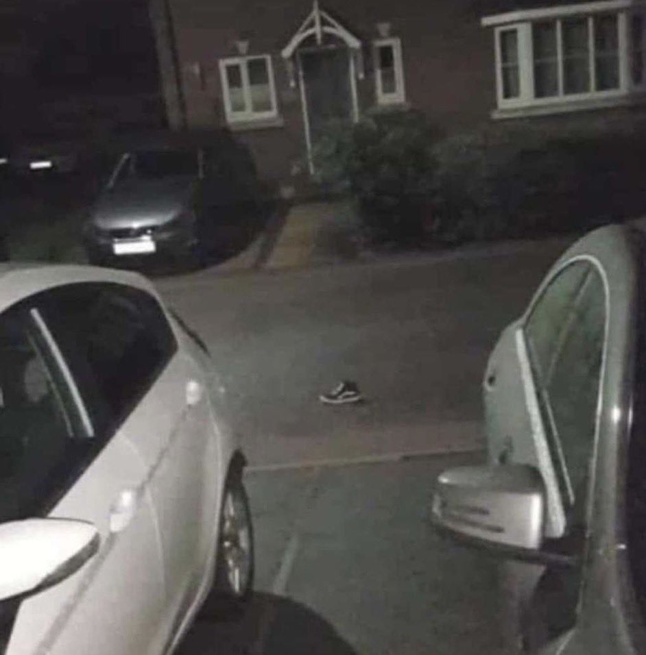 𝔻𝕦𝕤𝕥𝕝𝕒𝕟𝕕 𝔽𝕒𝕚𝕣𝕪𝕥𝕒𝕝𝕖 tweet media