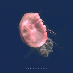 Becky-Ann Bridger tweet media