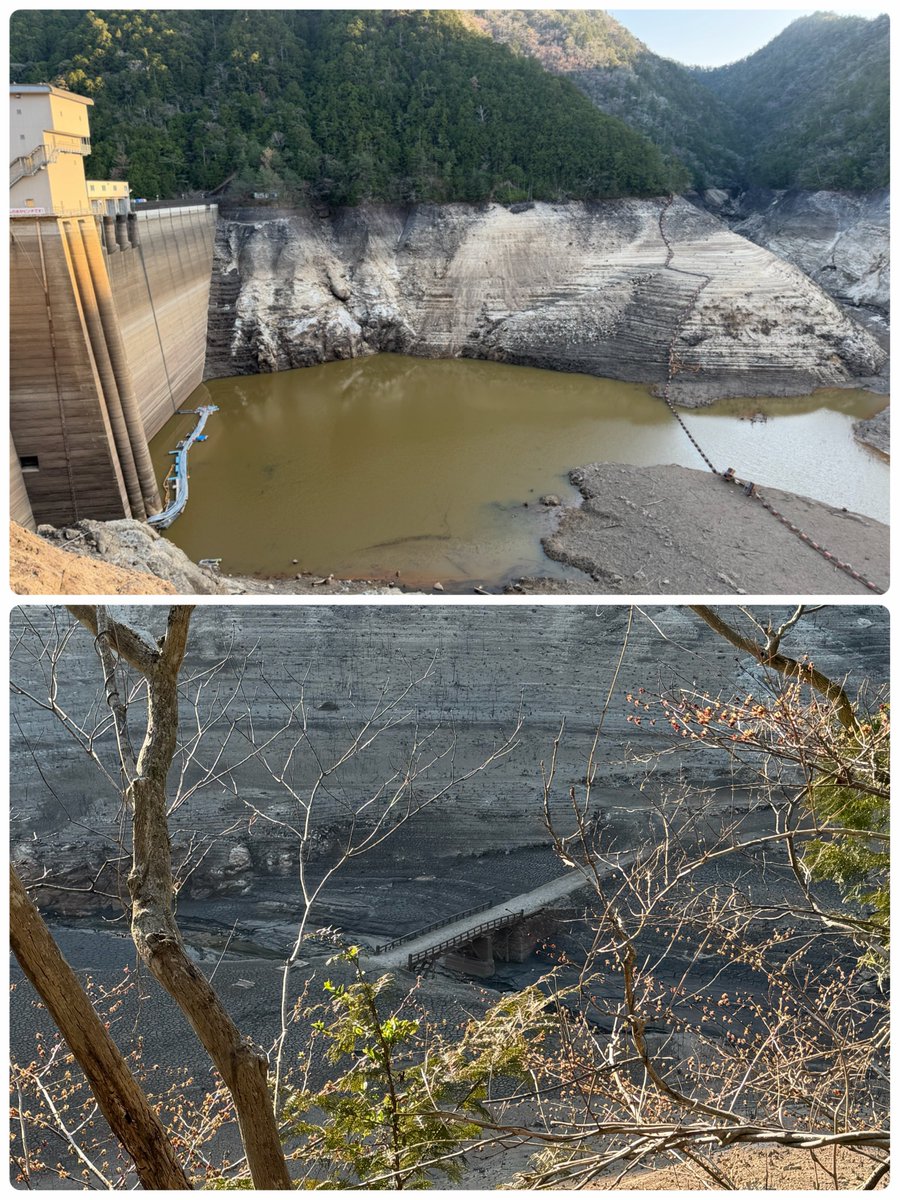 しゅう@29豊川 tweet media