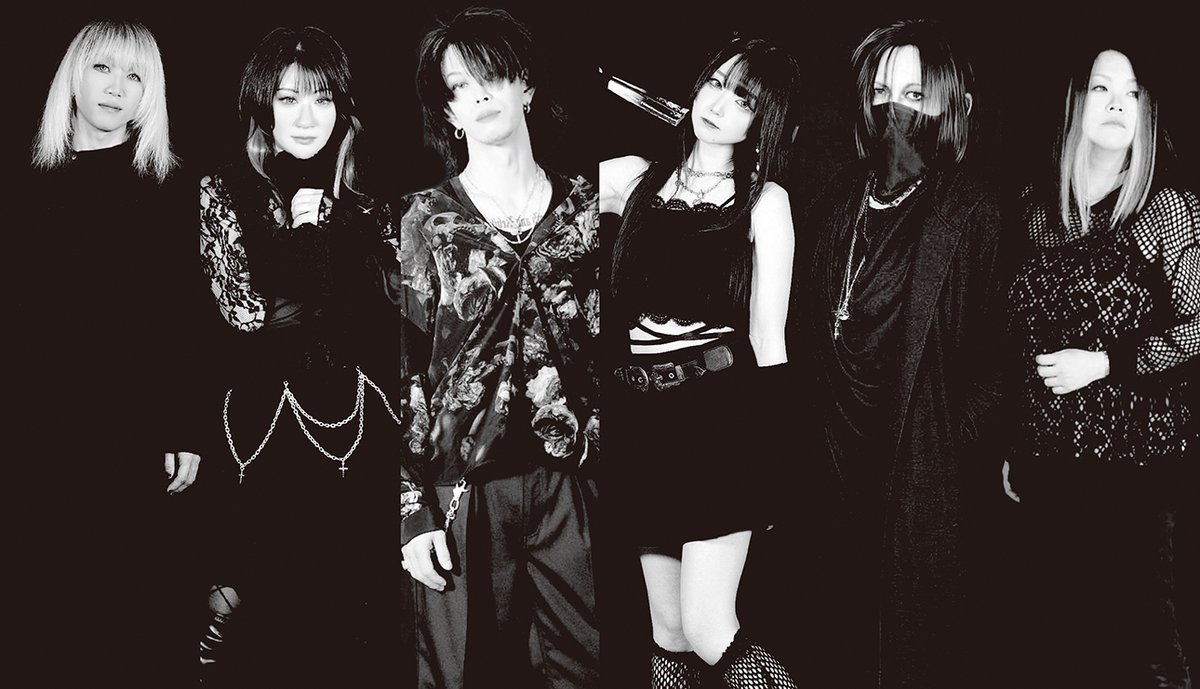 WeROCK／ロッキンｆ tweet media