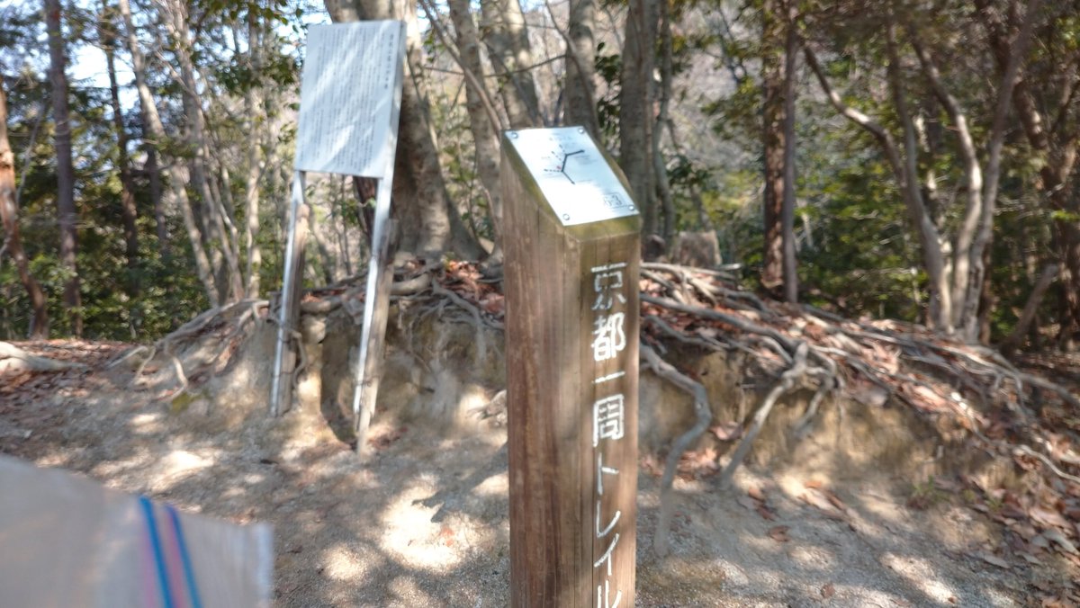 ランちぱー@今朝はランオフ tweet media