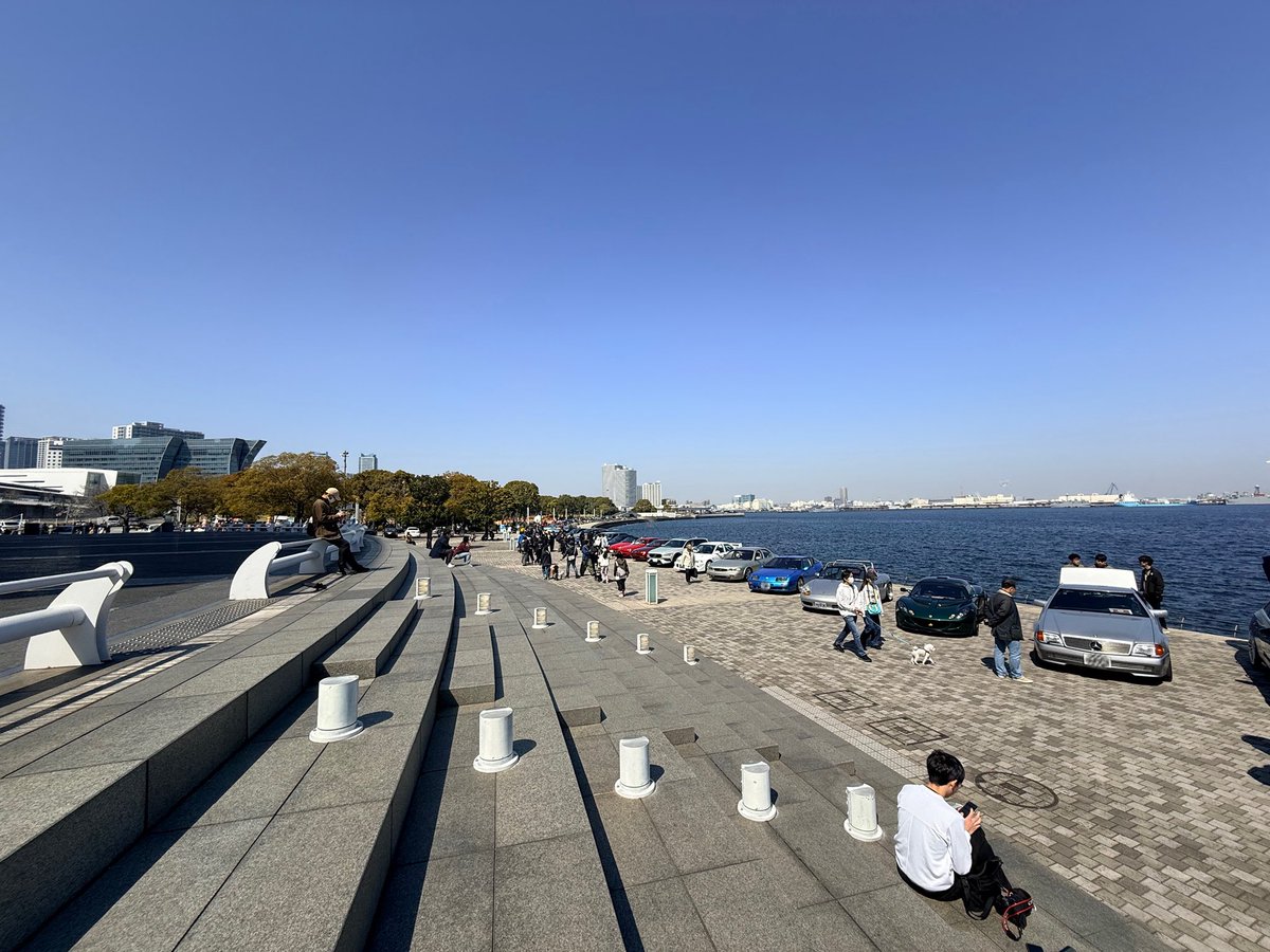 ぽゅぽゅ tweet media