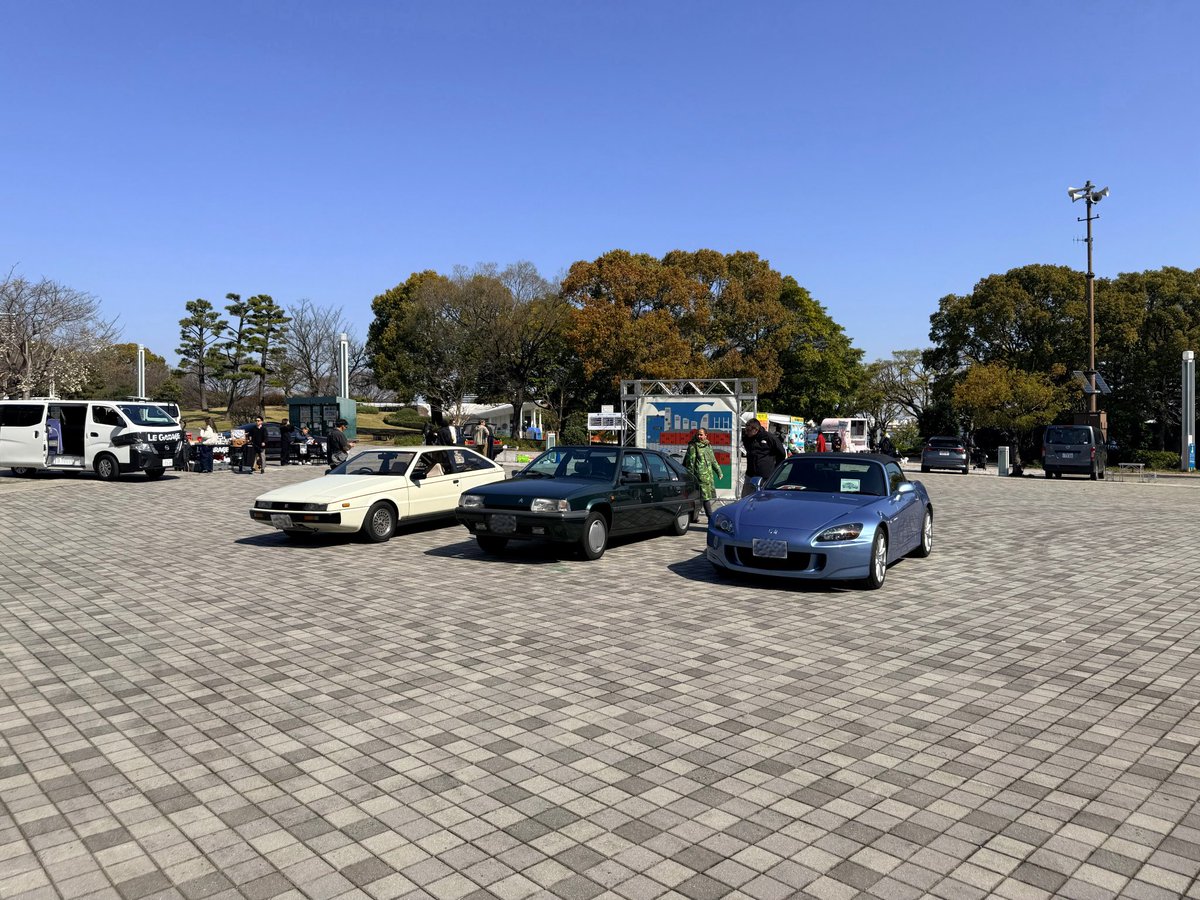 ぽゅぽゅ tweet media