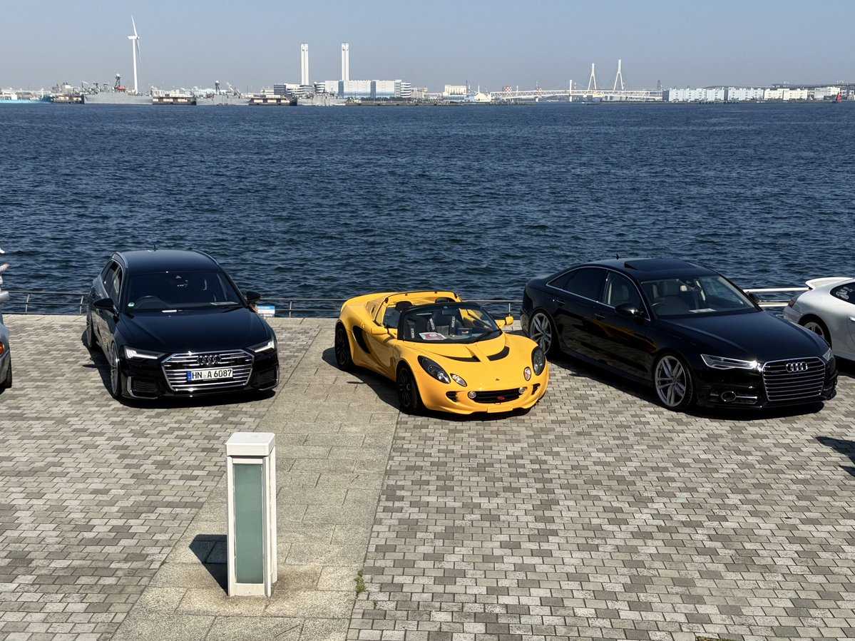 ぽゅぽゅ tweet media