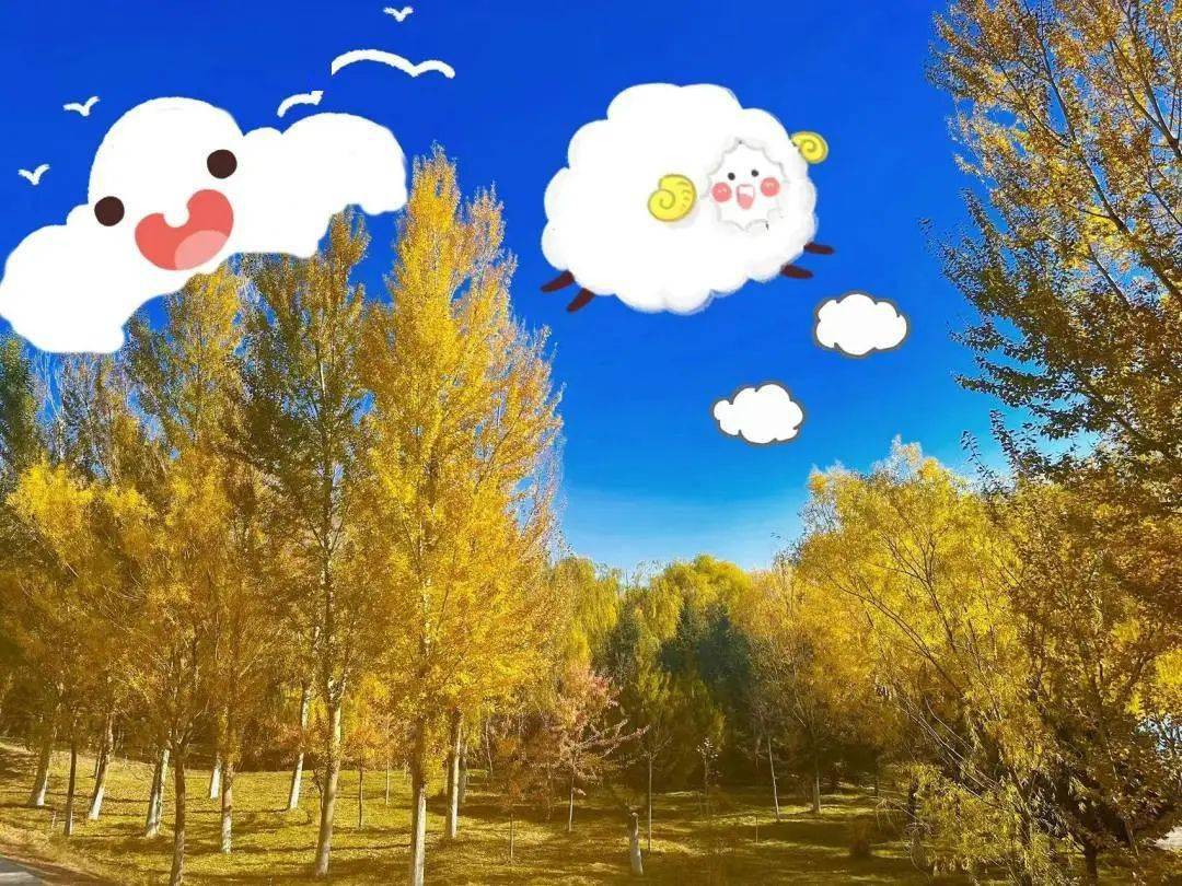 Nigel Wright tweet media