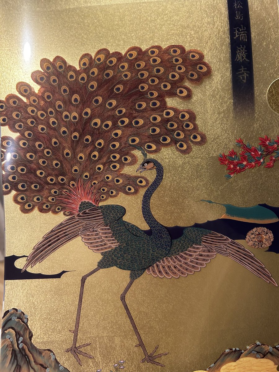 佐々木 英州 / Hidekuni Sasaki tweet media