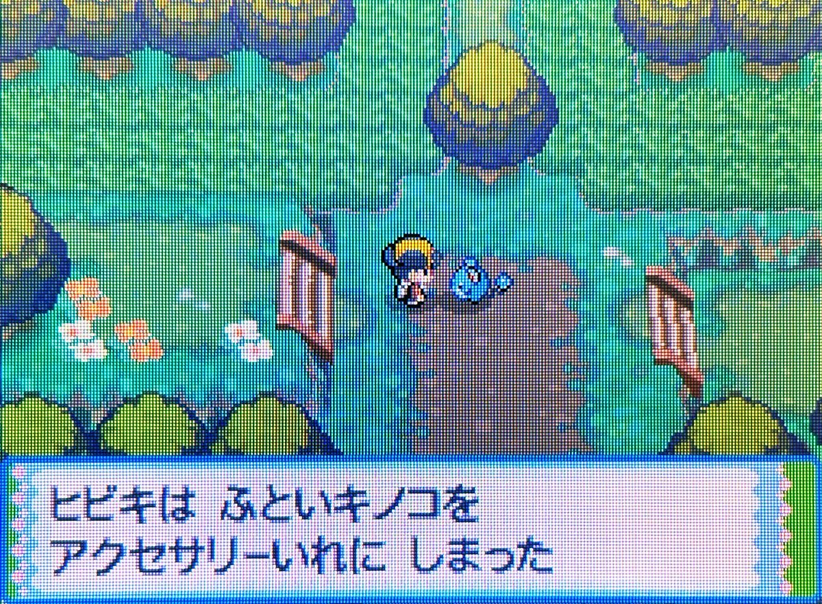 𑁍𓏸𓈒 𓂃ももらわらび👑🌿.∘ tweet media