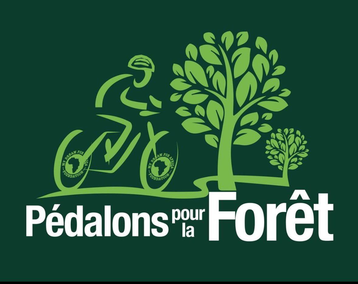 Andy Costa tweet media