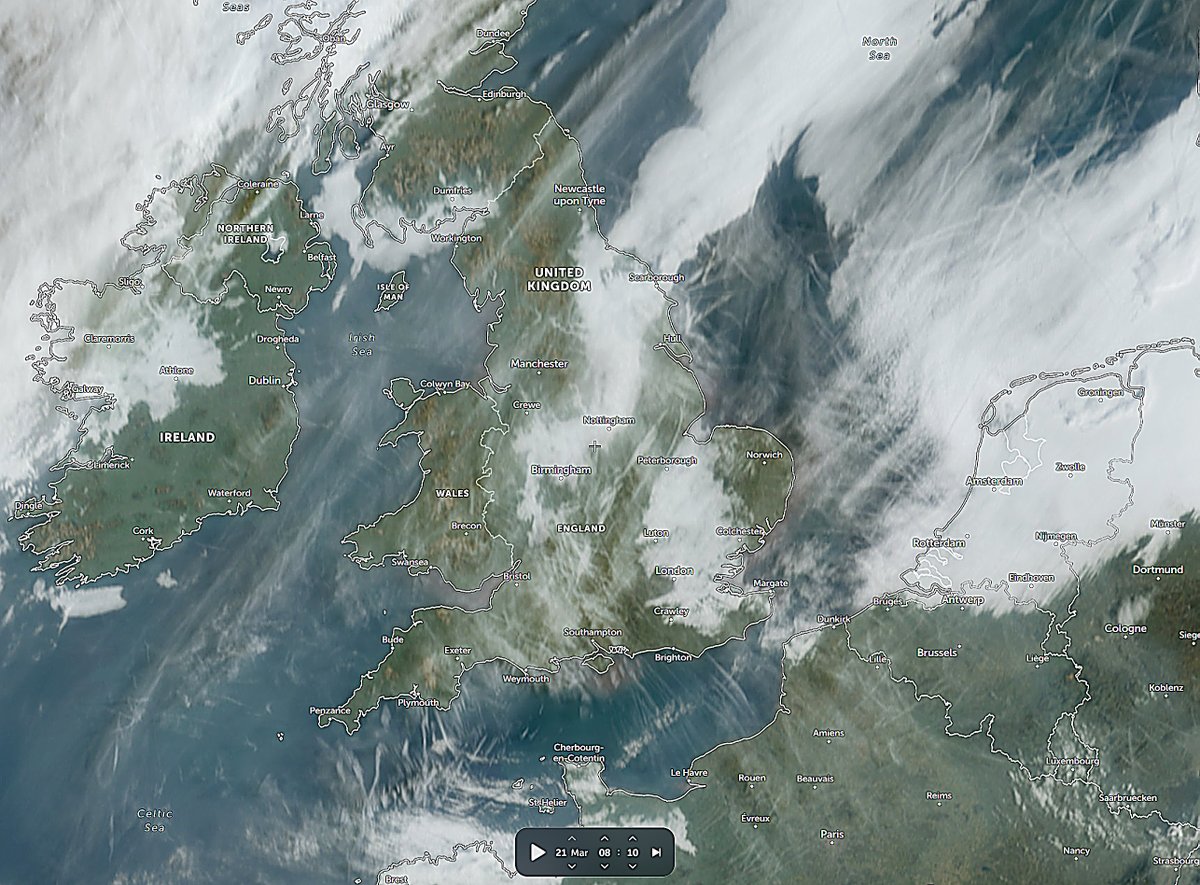 As1Tribe tweet media