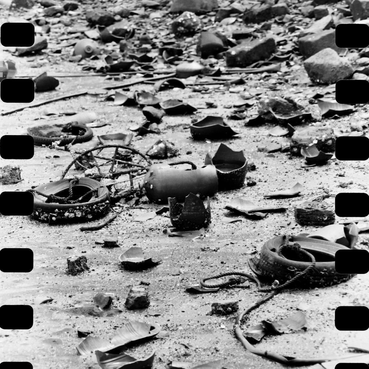 VØNPhoto tweet media