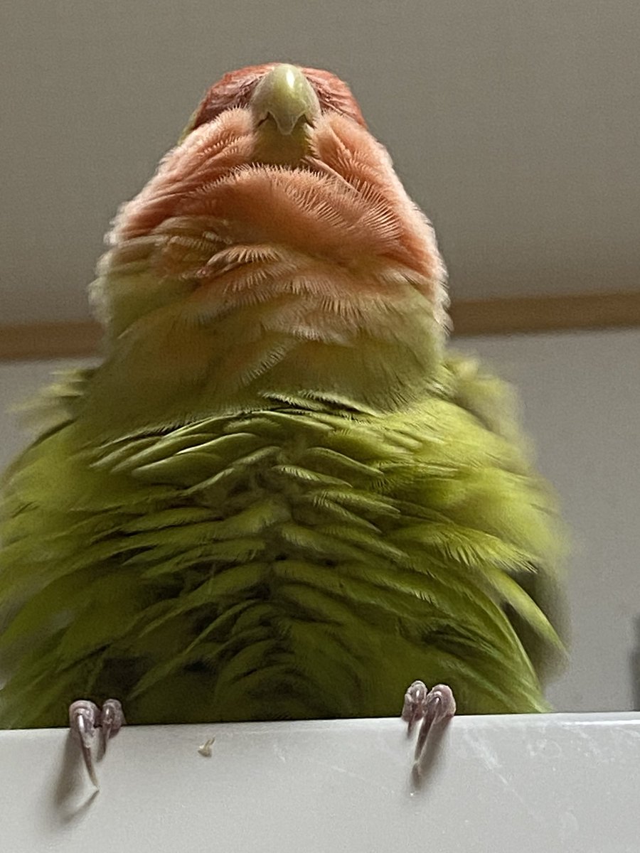 この角度もいいね^^*