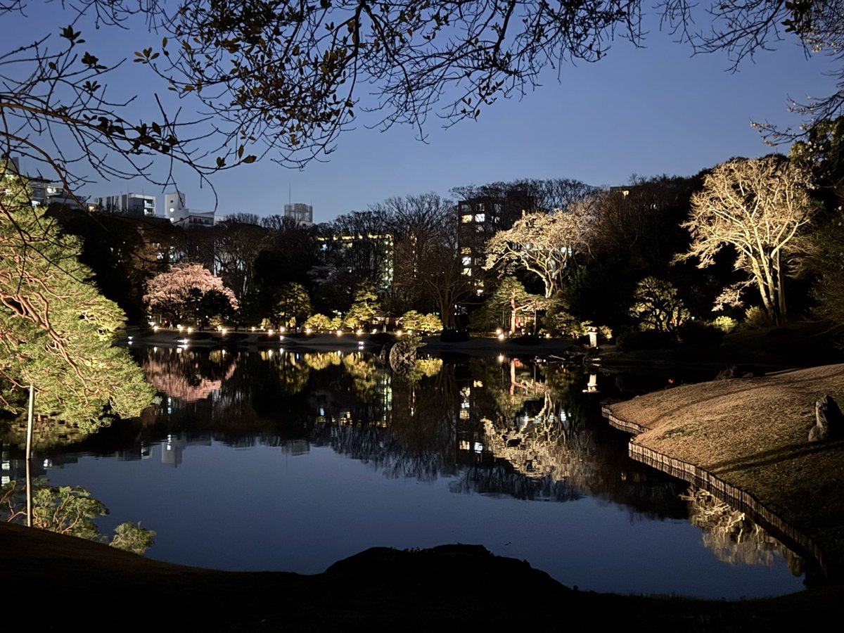 surf riddim tweet media