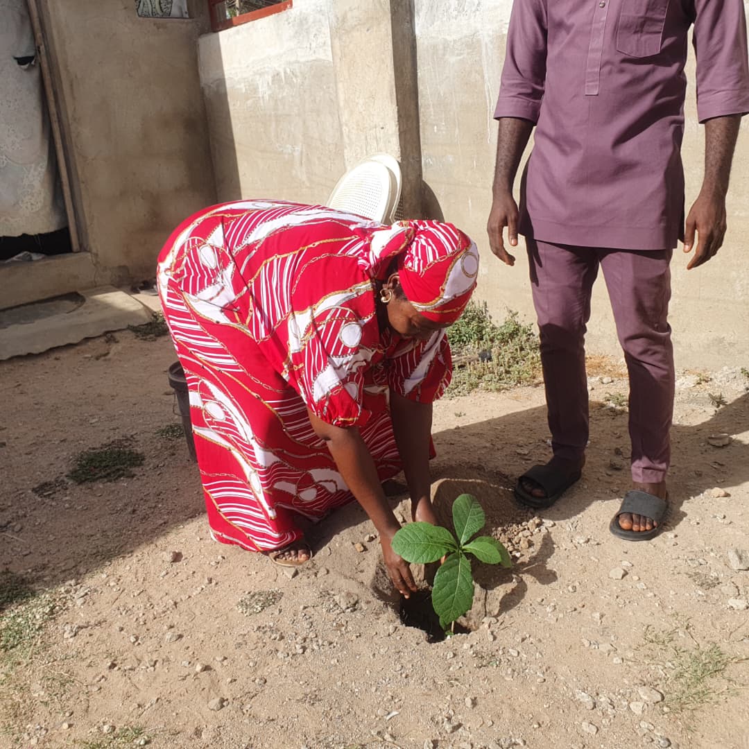 Bridge That Gap Initiative tweet media