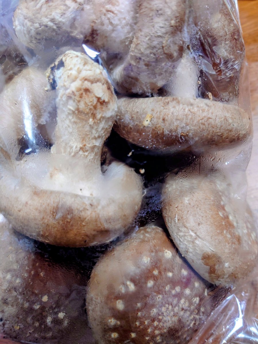 ✧︎第3のimo✧︎ tweet media