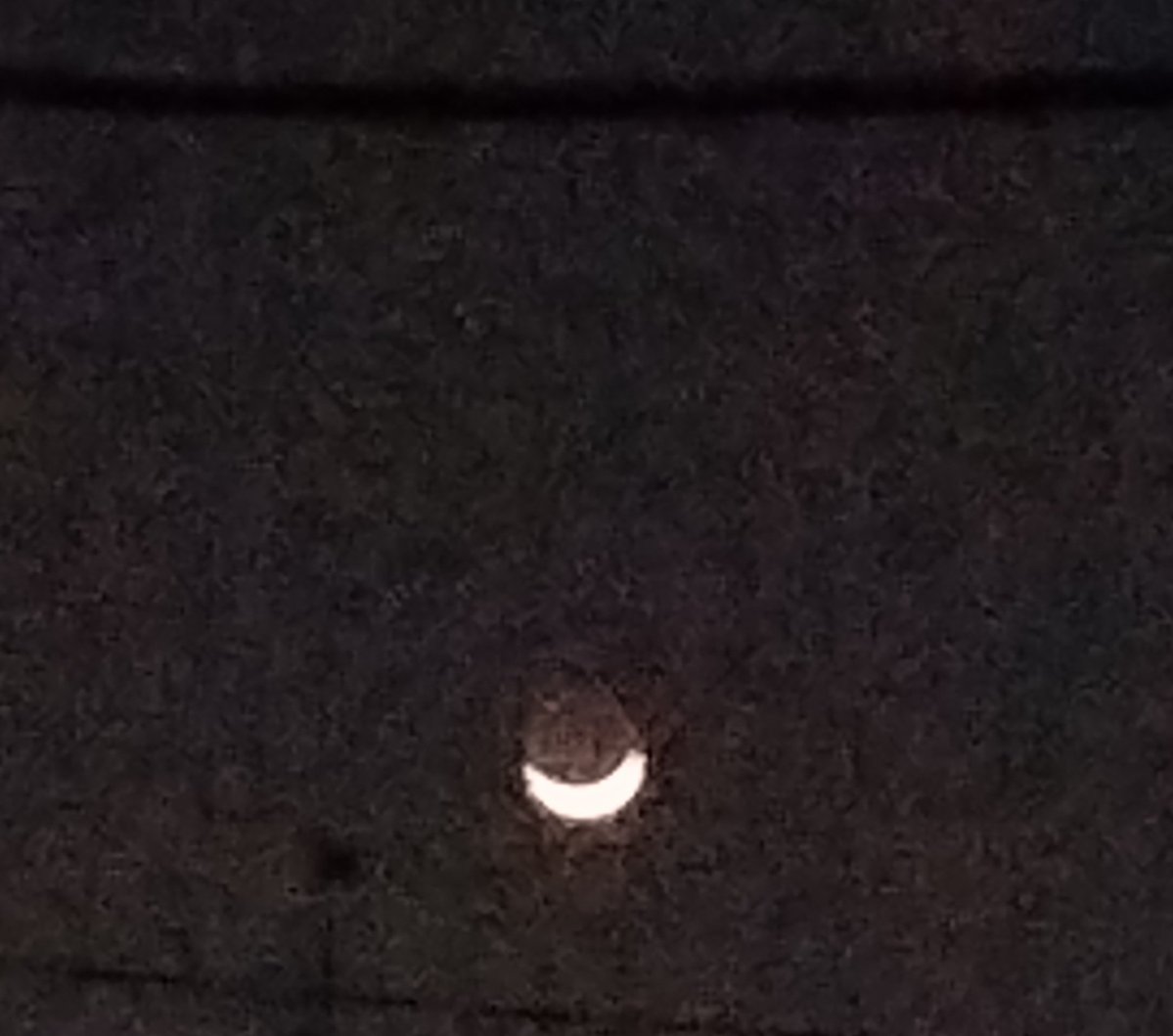 ほっそい月が出てる　(σω-)｡оﾟ