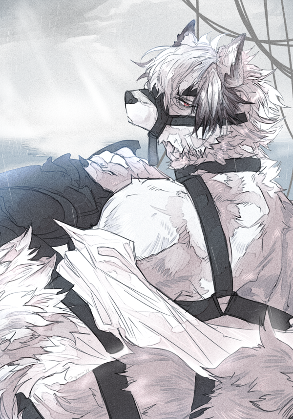 orenji bikin buku tweet media