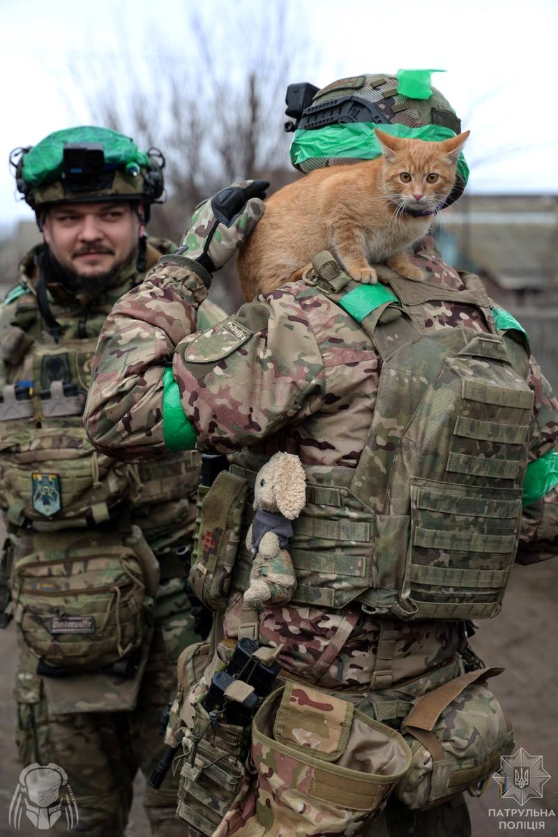 Ілля Айзін tweet media