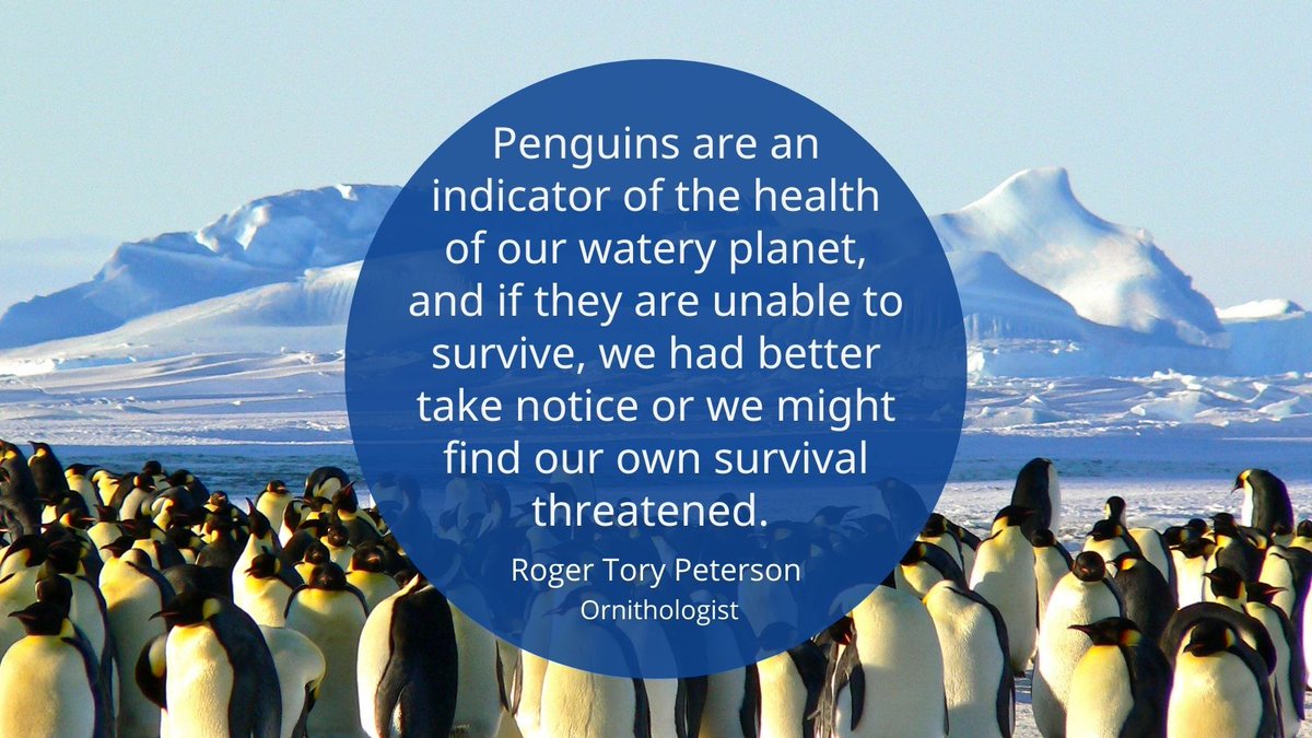 CORDIS_EU's tweet image. 🐧 From climate science to biodiversity and ocean research, European-funded projects are helping us understand and protect our planet.

Discover the research shaping our future.
👉 europa.eu/!Cvm3BW 
#ScienceQuote