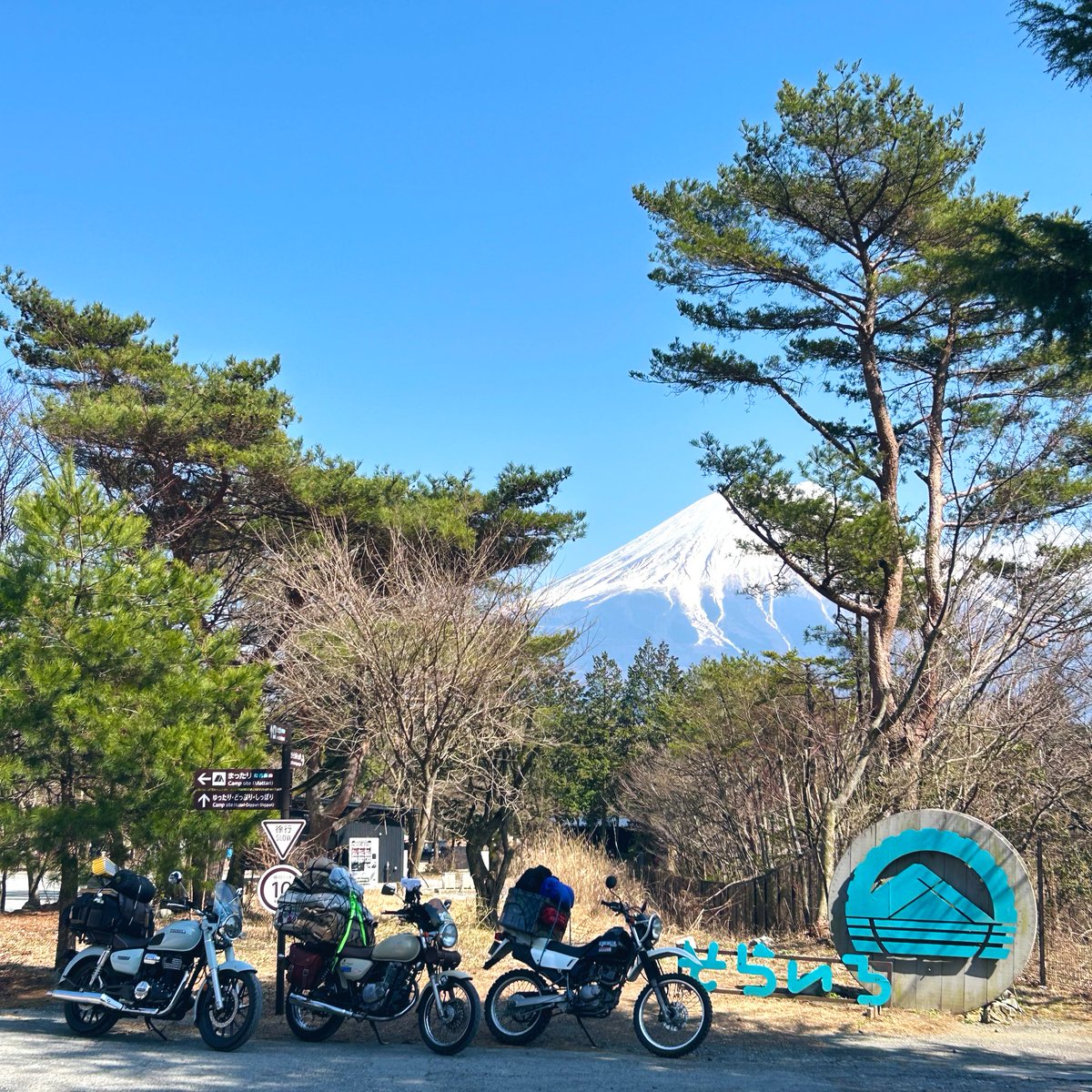 スーシ˝ー tweet media