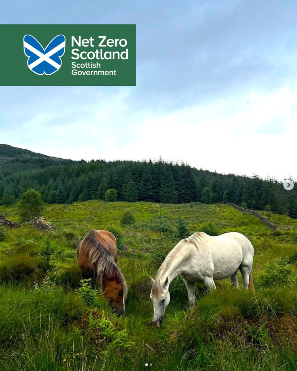 Net Zero Scotland tweet media