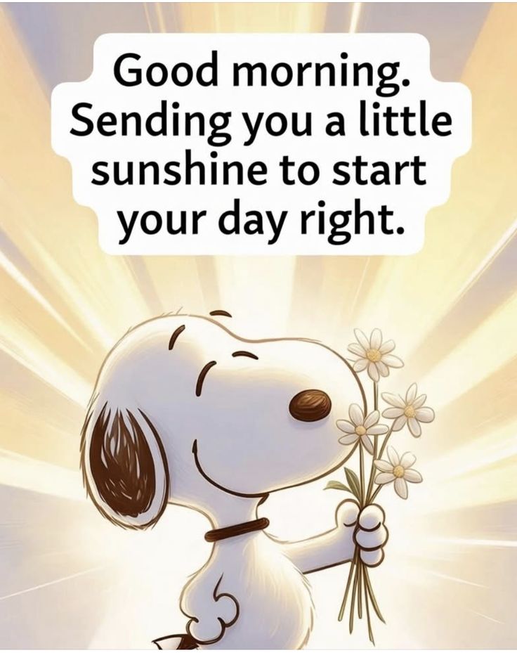 Sandy W. tweet media