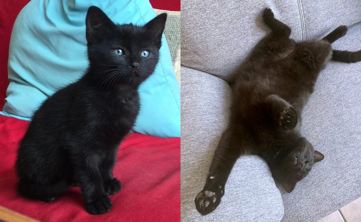 Thomas Leroy 🐘 🦋 tweet media