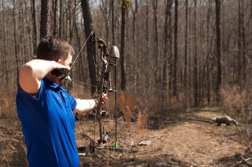 Old 96 District tweet media