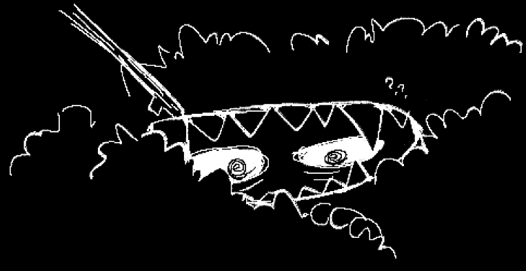 ＨＯＵＮＤ tweet media