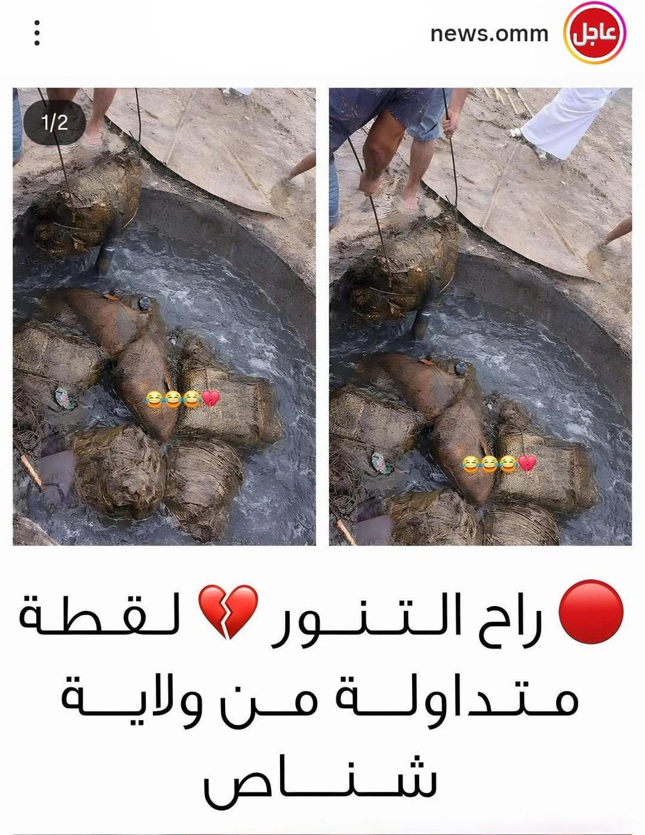 تامر tweet media