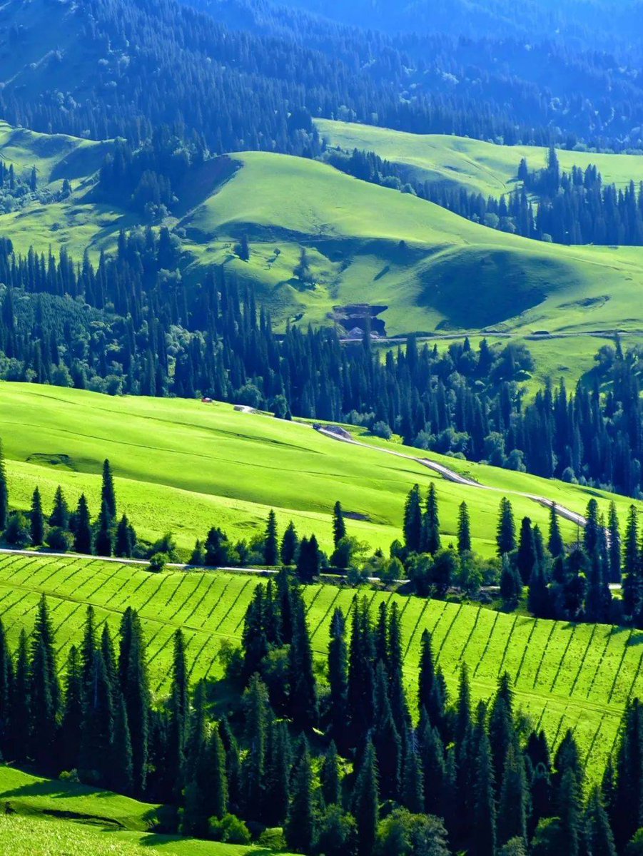 mOhamed abOalata tweet media